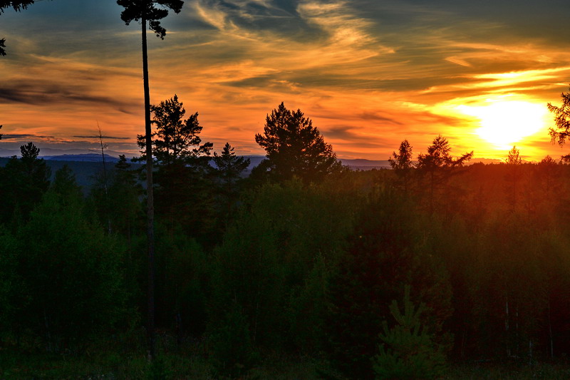 ����� �����