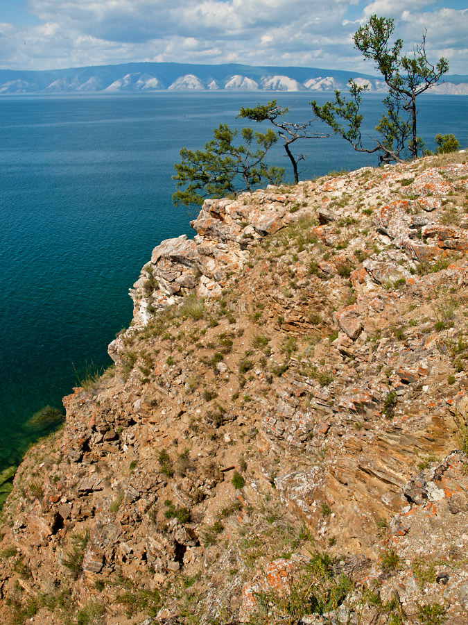 �� ������