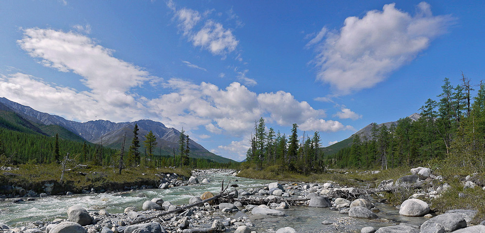 ������ ��������