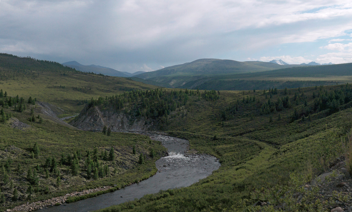 � ������ �������