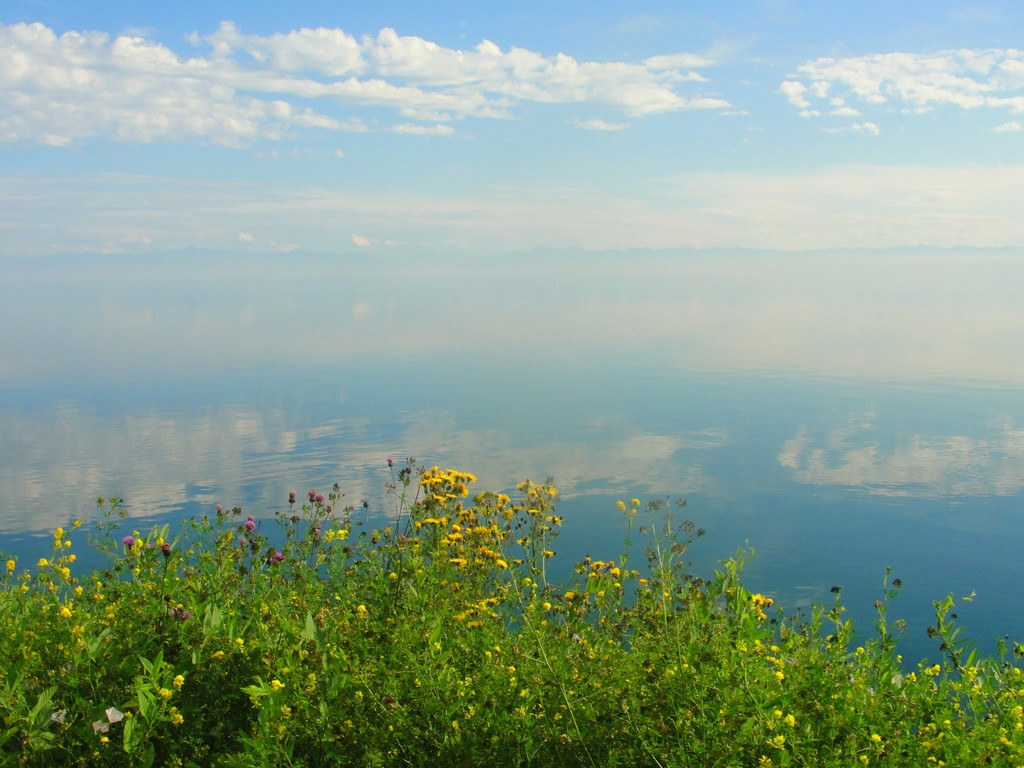 ������ � ����