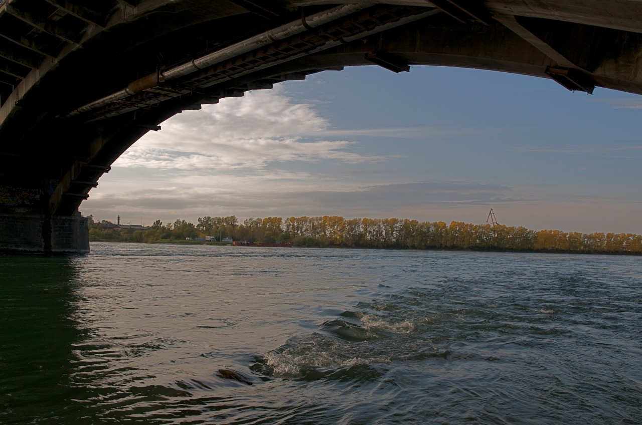 � ����� �����