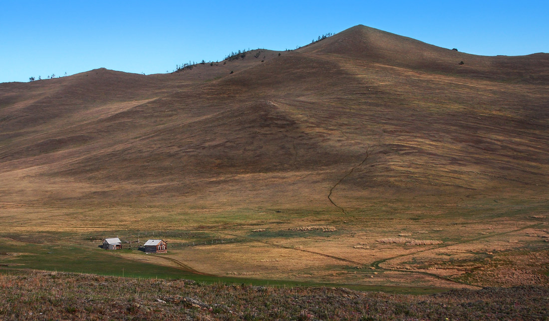 ����� ������