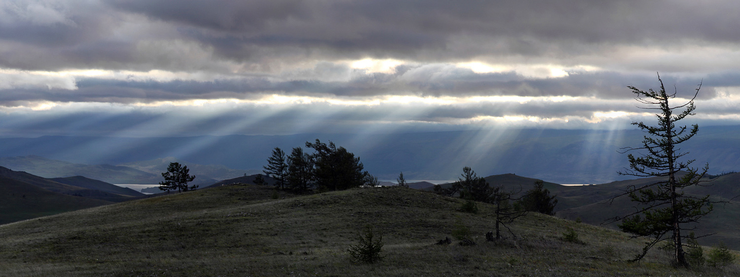 ����������� ���� �������� ������