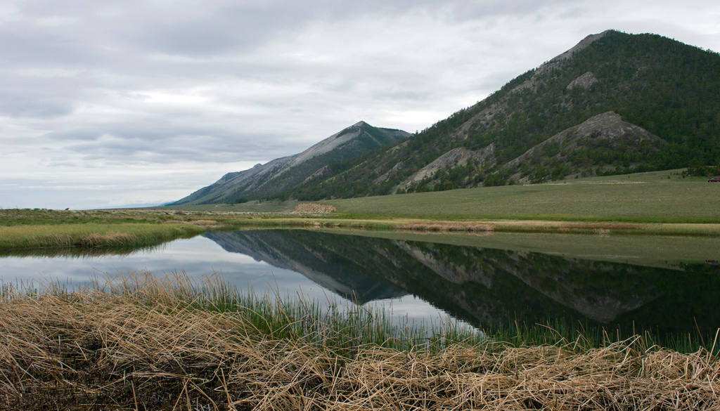 ���������