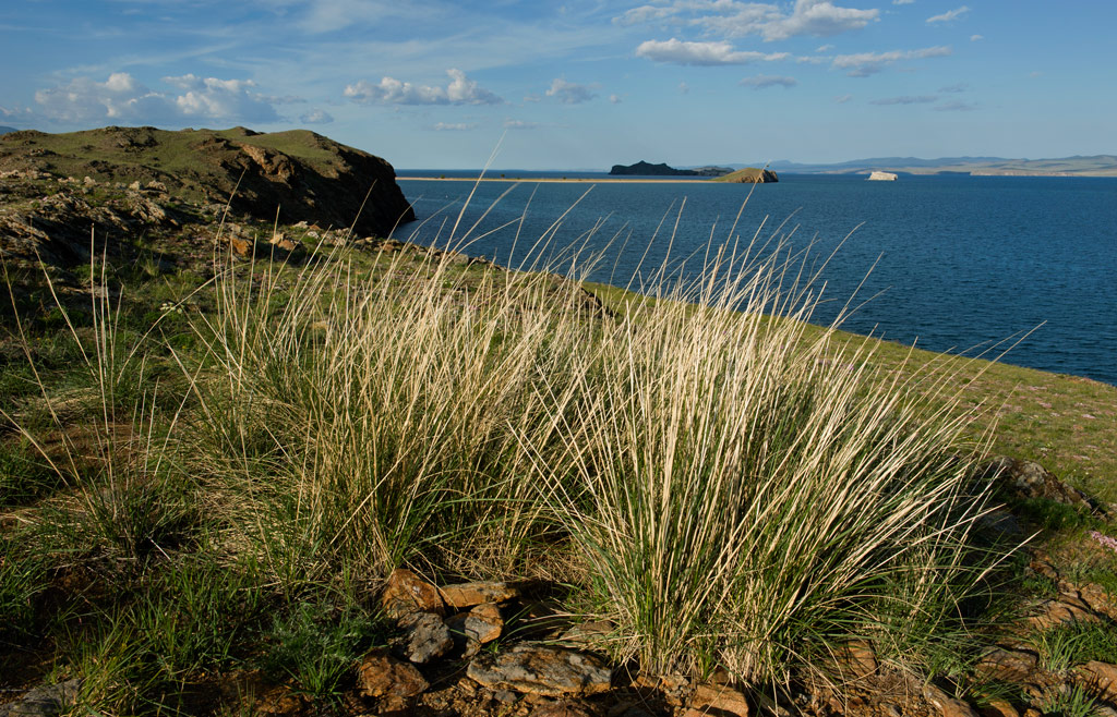 ��� ������� � ������