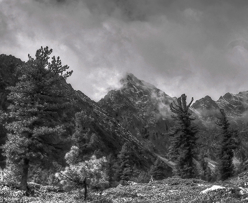 � �����-����� �����