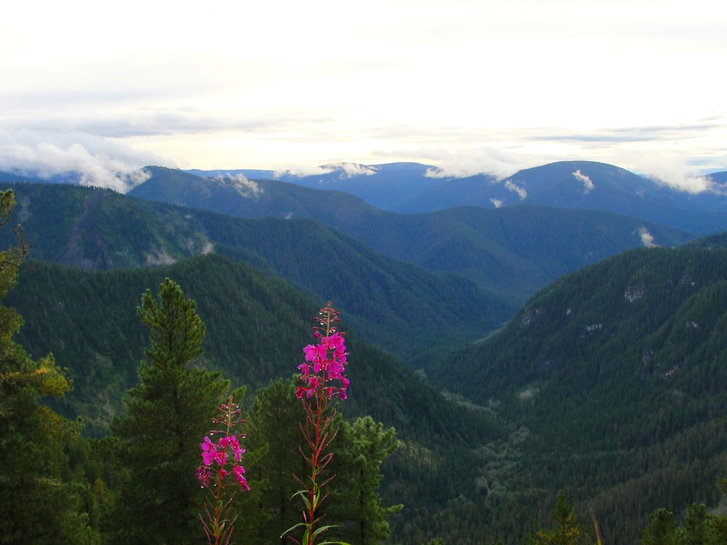 �����-��������� �������