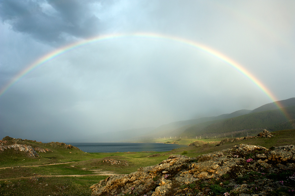 ��������� ���� ����� ����� ����