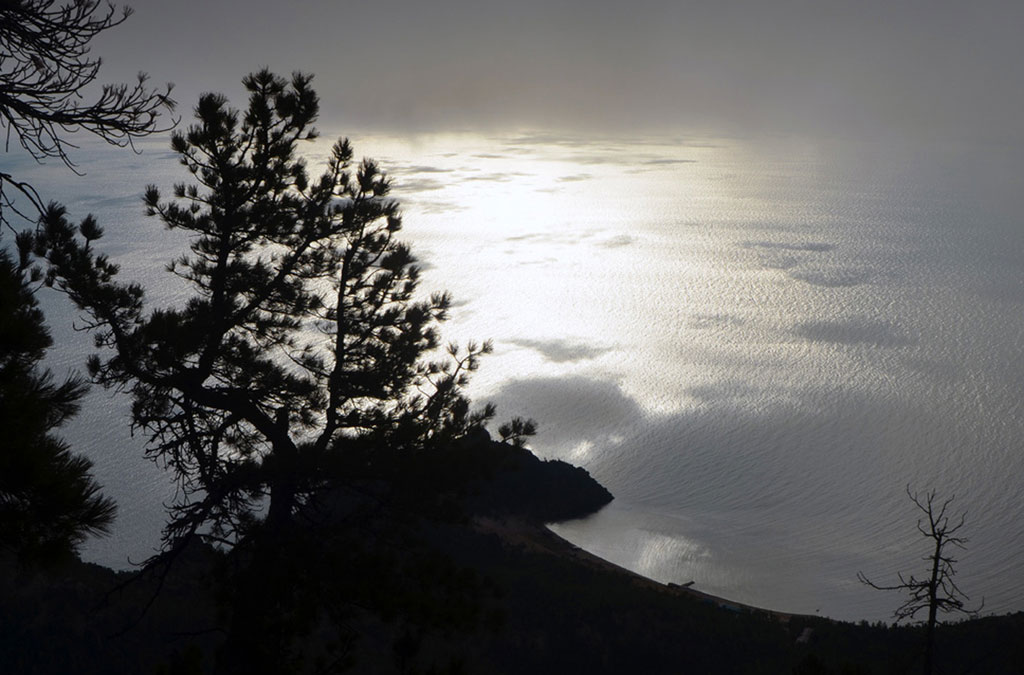 ������� ��������� ����