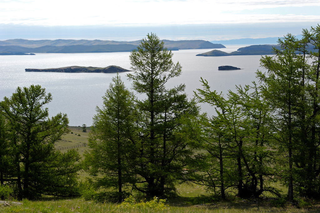 � ������ ���� �� ����� ����