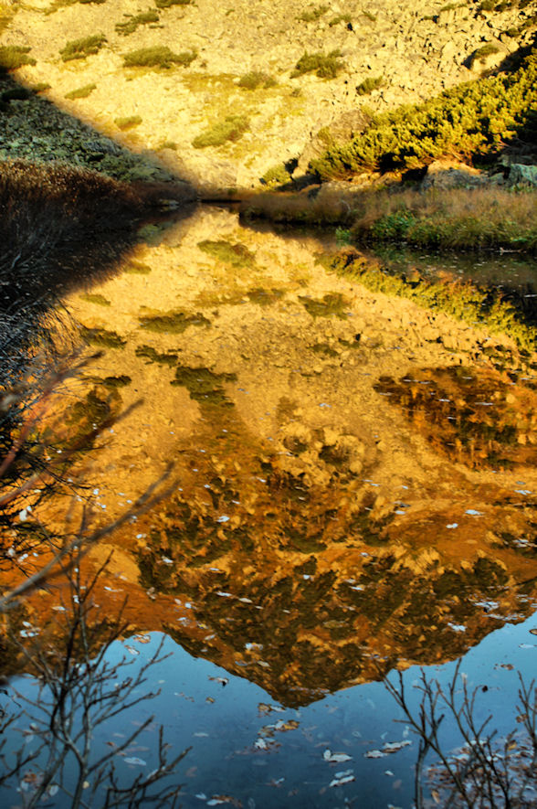 ������ ����������