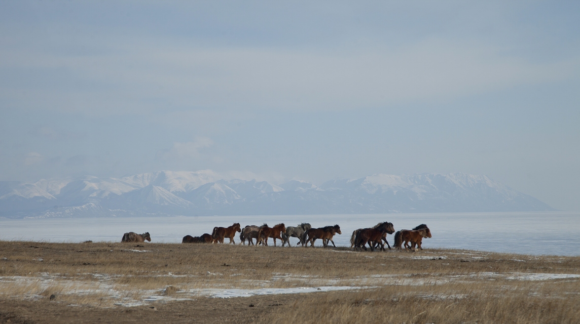 ��������� ��������