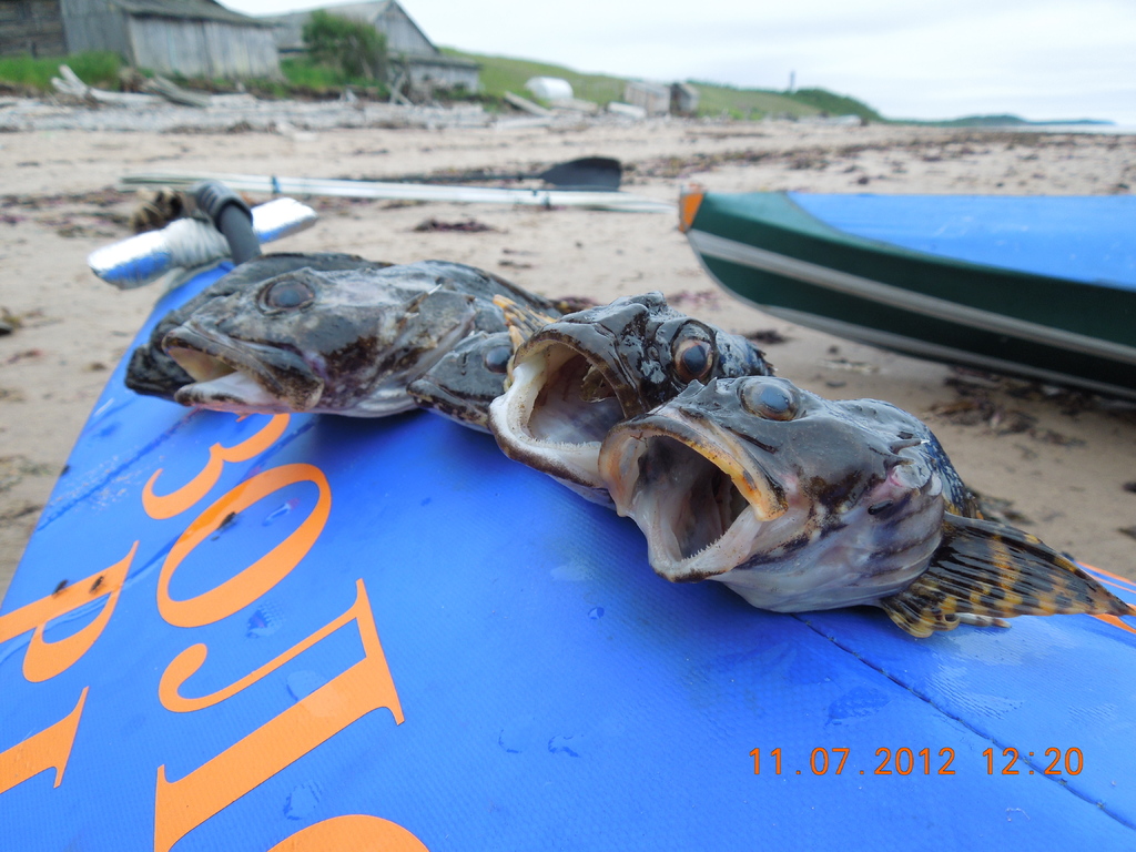 ������ ������������� �����