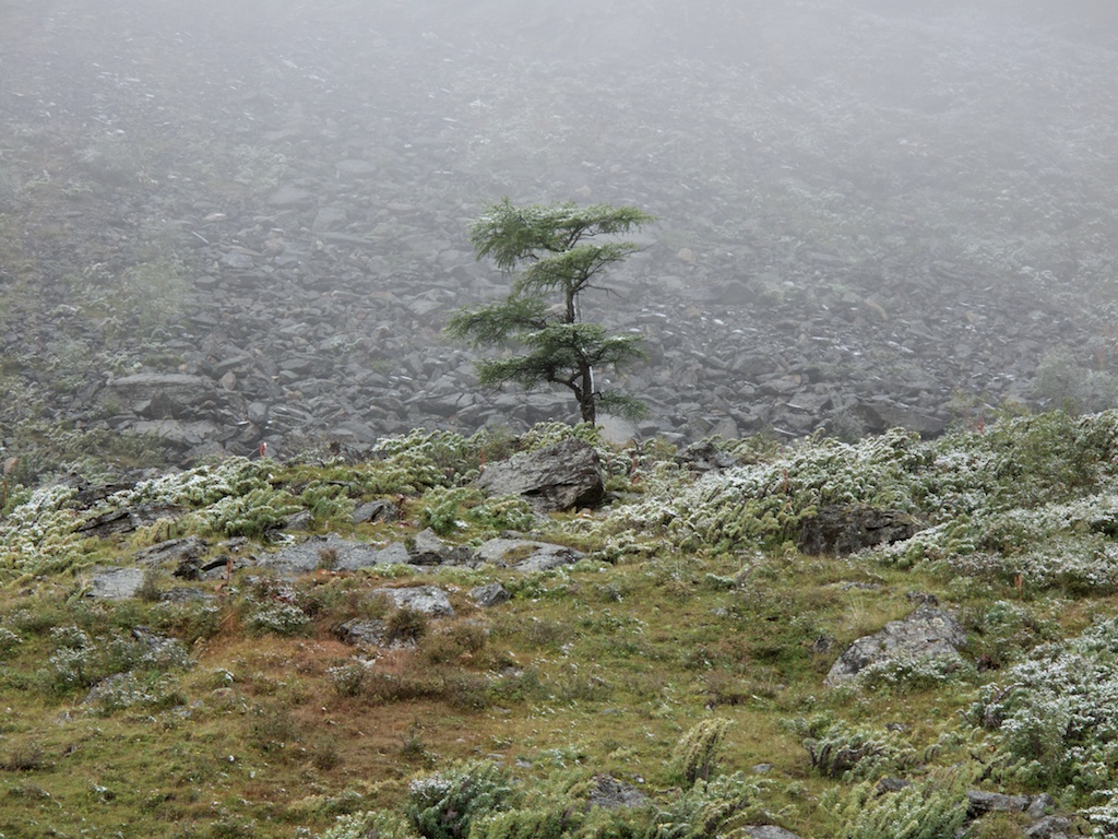 ���...������.