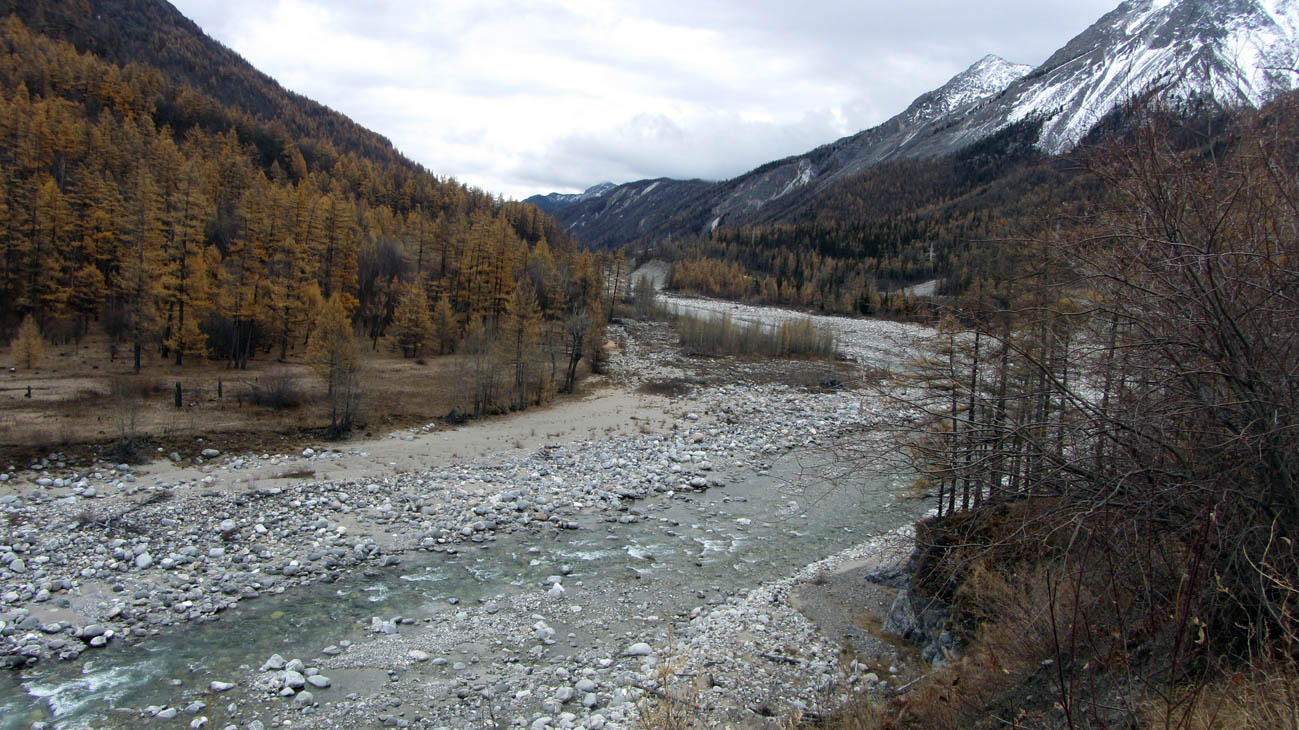 ����� ������