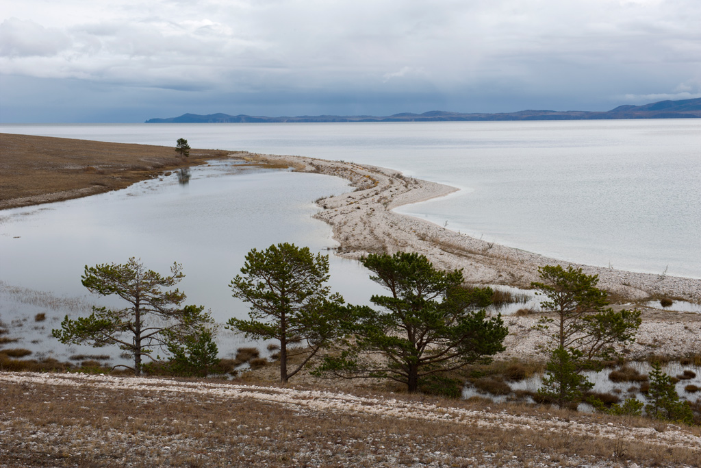 ��������� ����