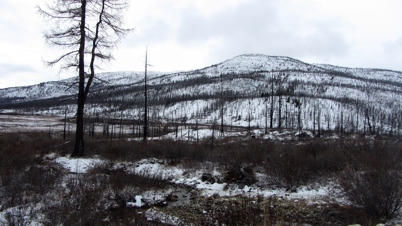 �������� ���