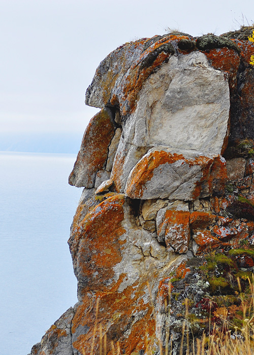 ��������� �������