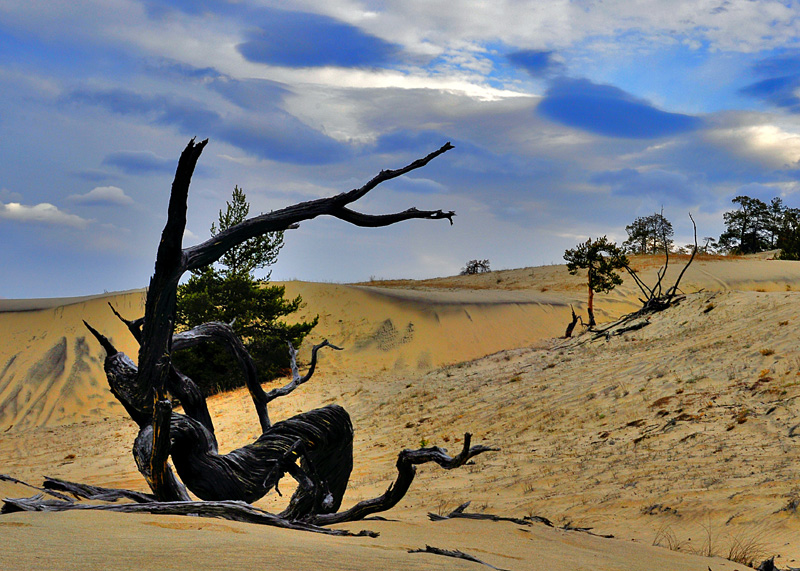 � ������