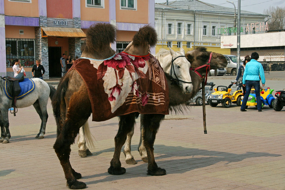 ������ � ������� - ������ �����...