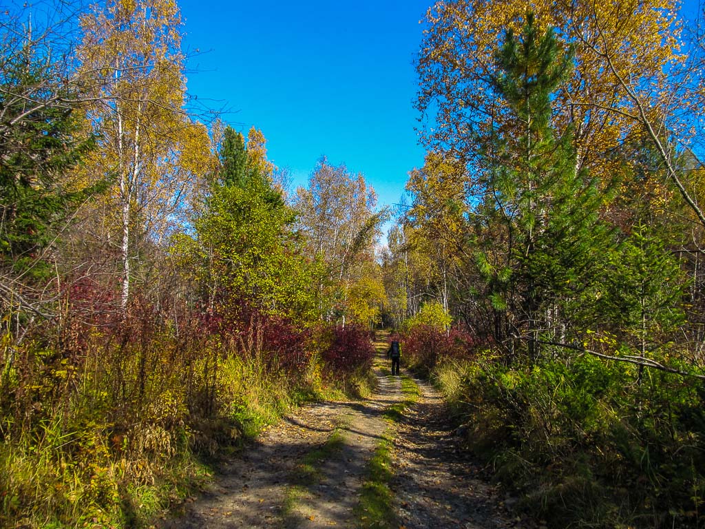 �������� �������