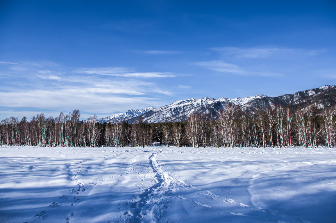 ������� �������