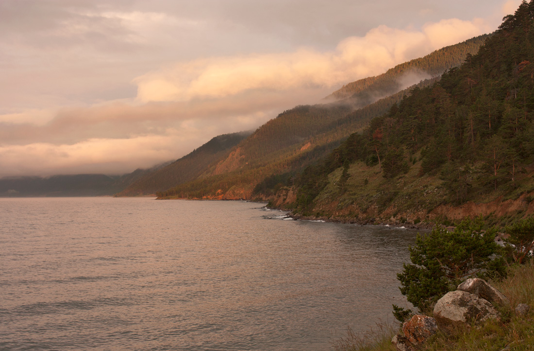 �������� �����.