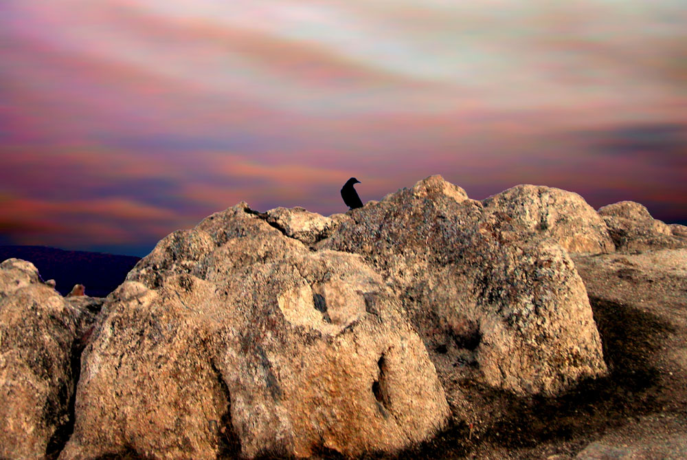 ���� �� ����� �� �����?..