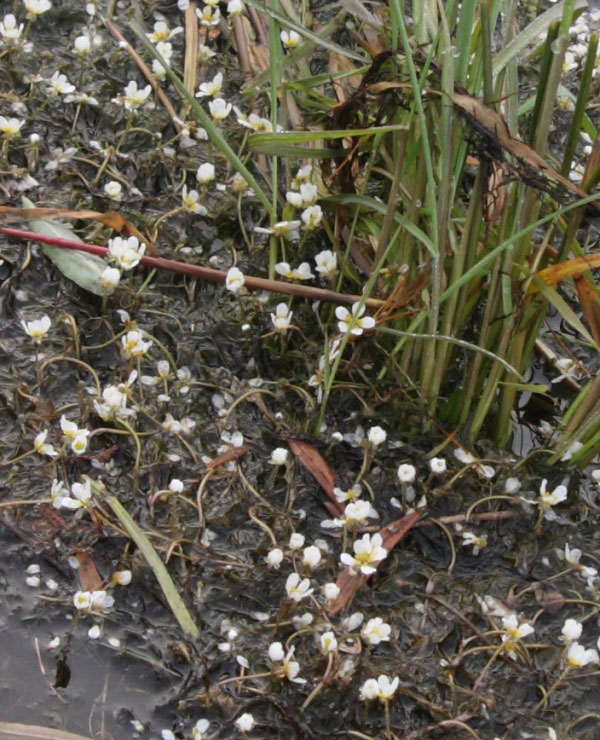 ���������_��������