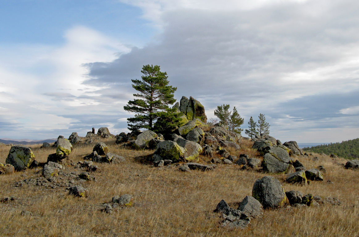 ��� ������.