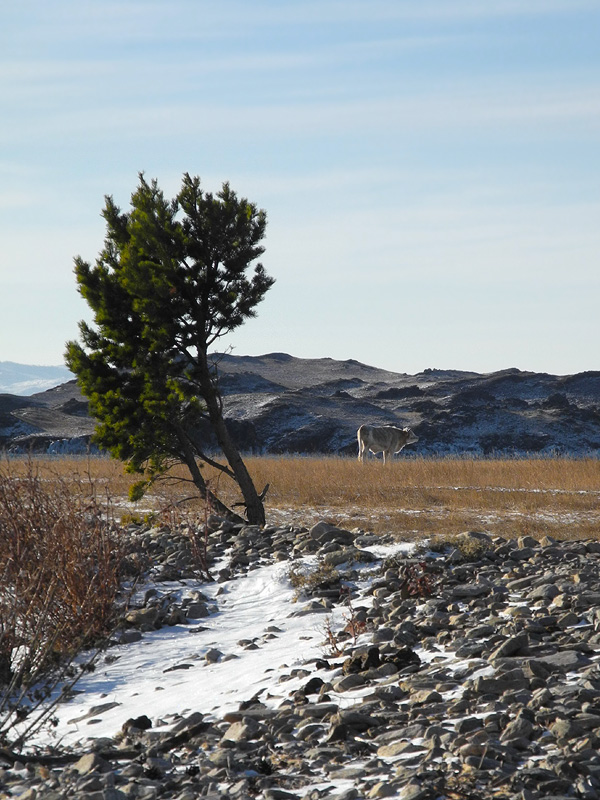 ��������� � �����������