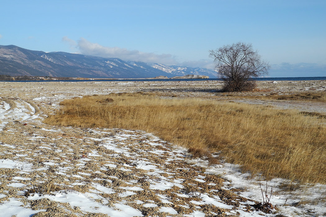 � ������ ��� ������ ���� �����