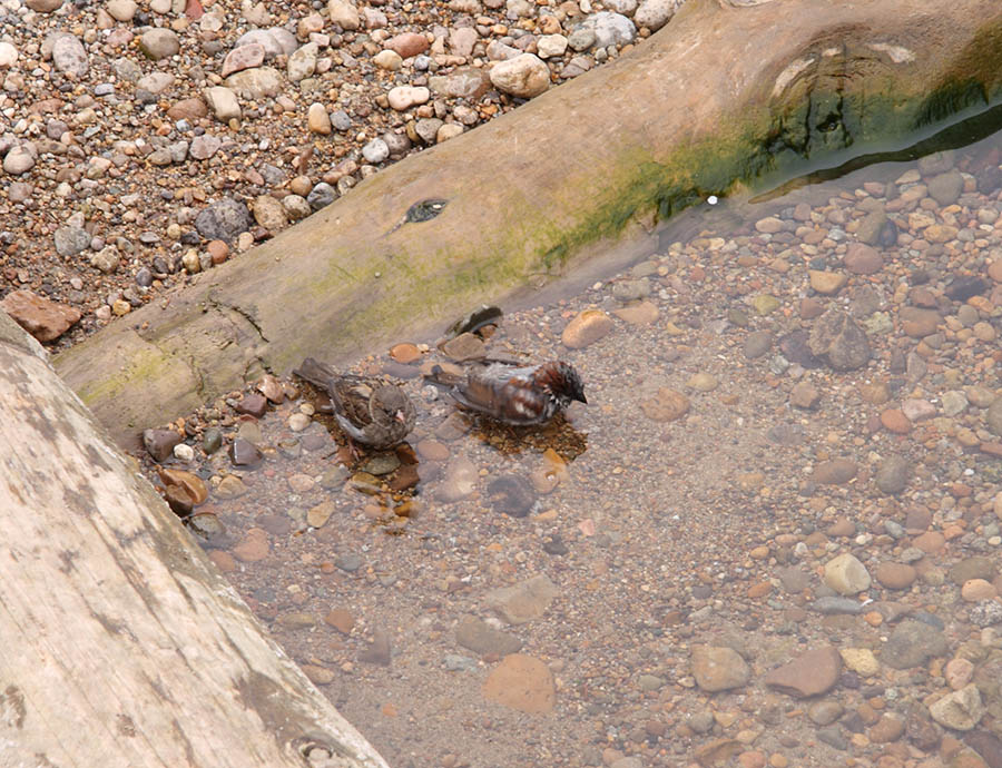 ��������_2