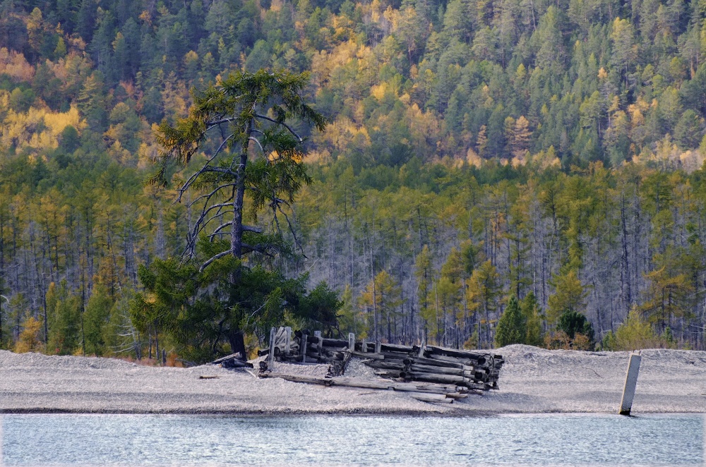 ������ � ������