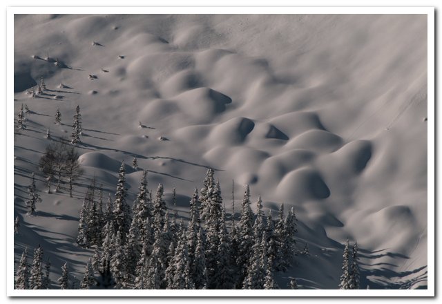 �����: ������. ��������������� ���������. 