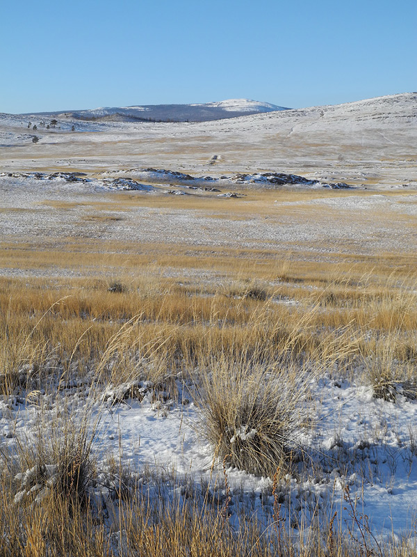 ����� ������ ������