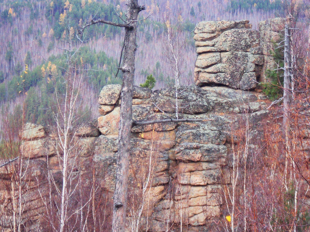 �������