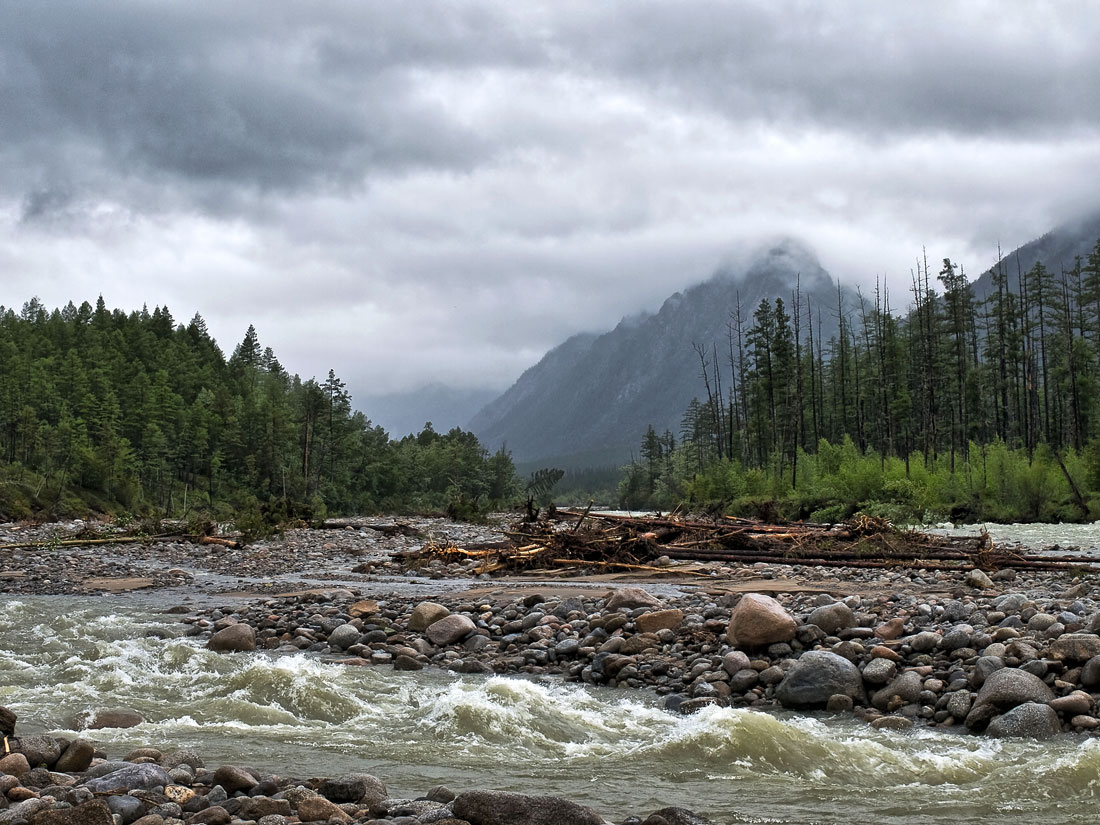 ����� ����������