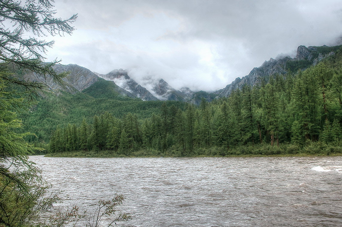 ����� �����