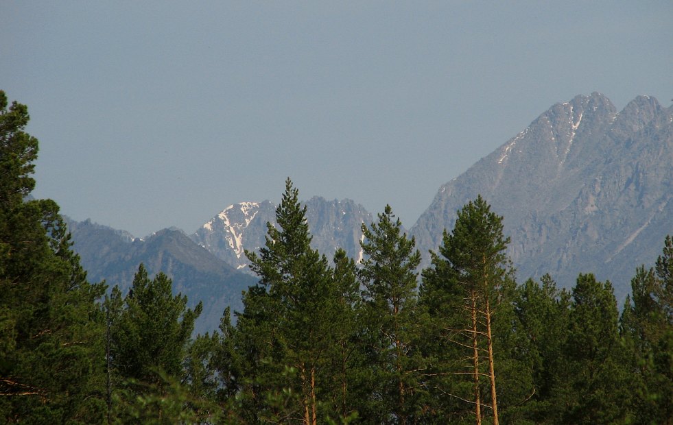 ���������� ����