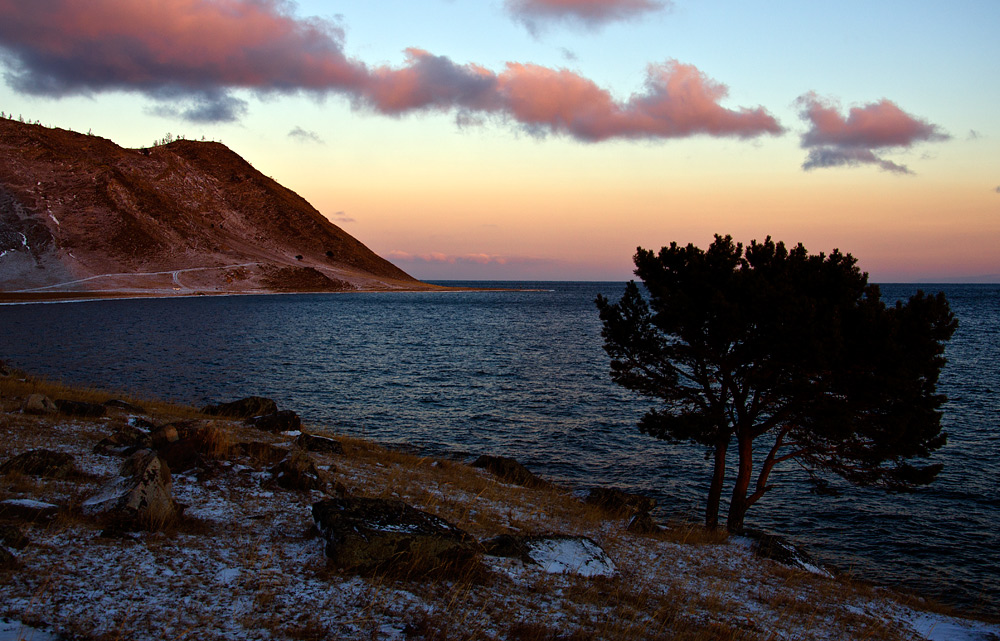 �������. �����