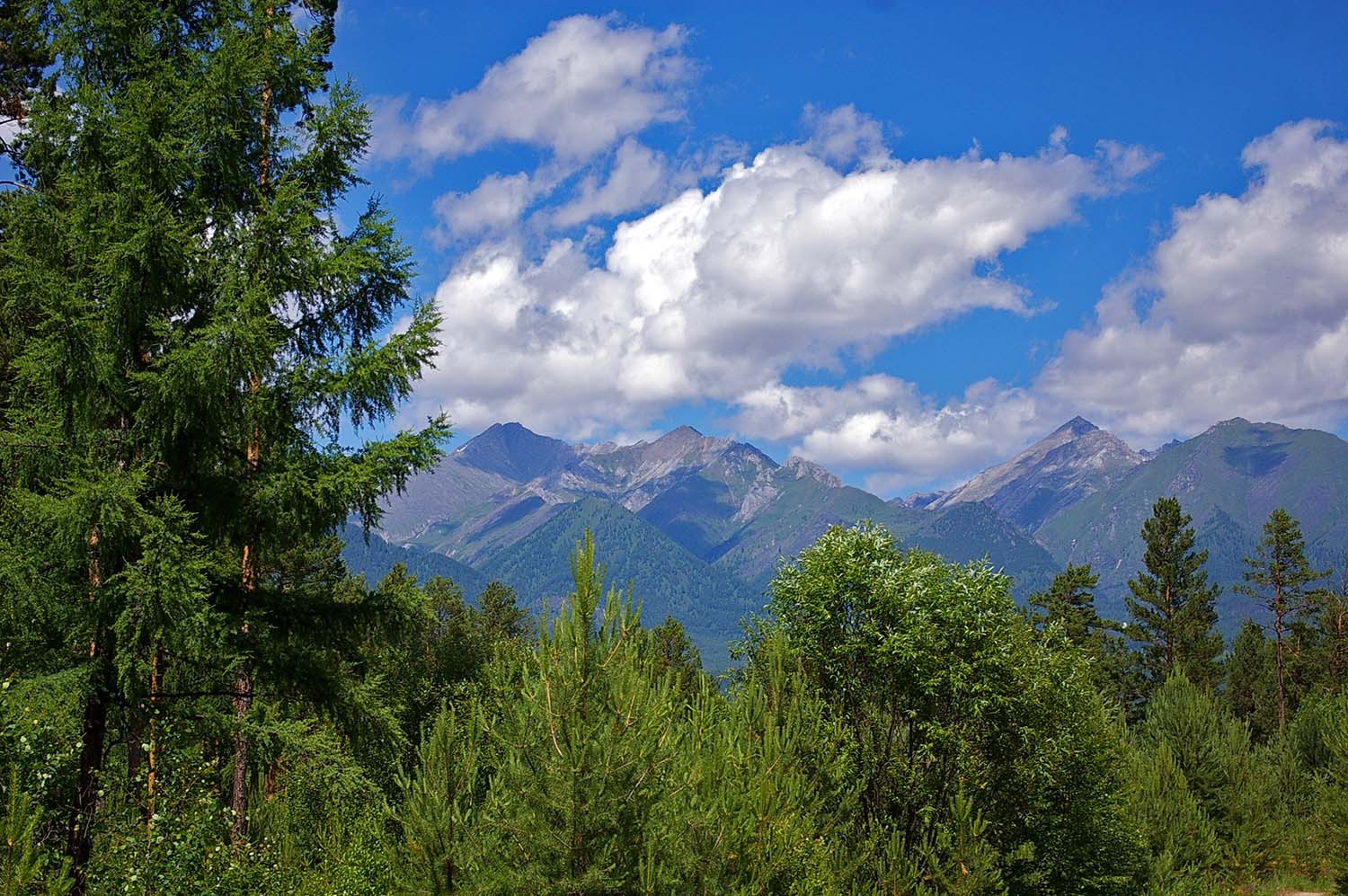 ������� ���� �������� ��������