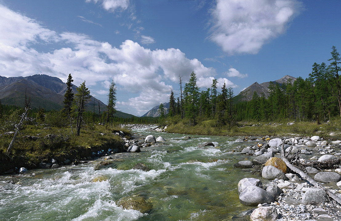 ������� ����� �� �����