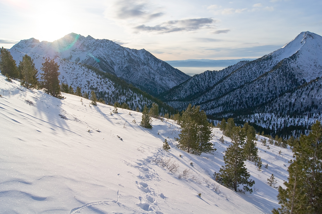 ���� � ������ 9