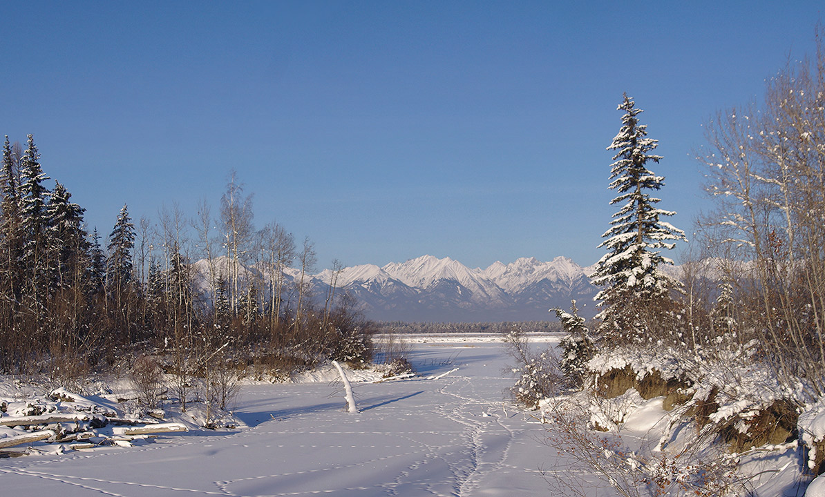 ������� �� ������