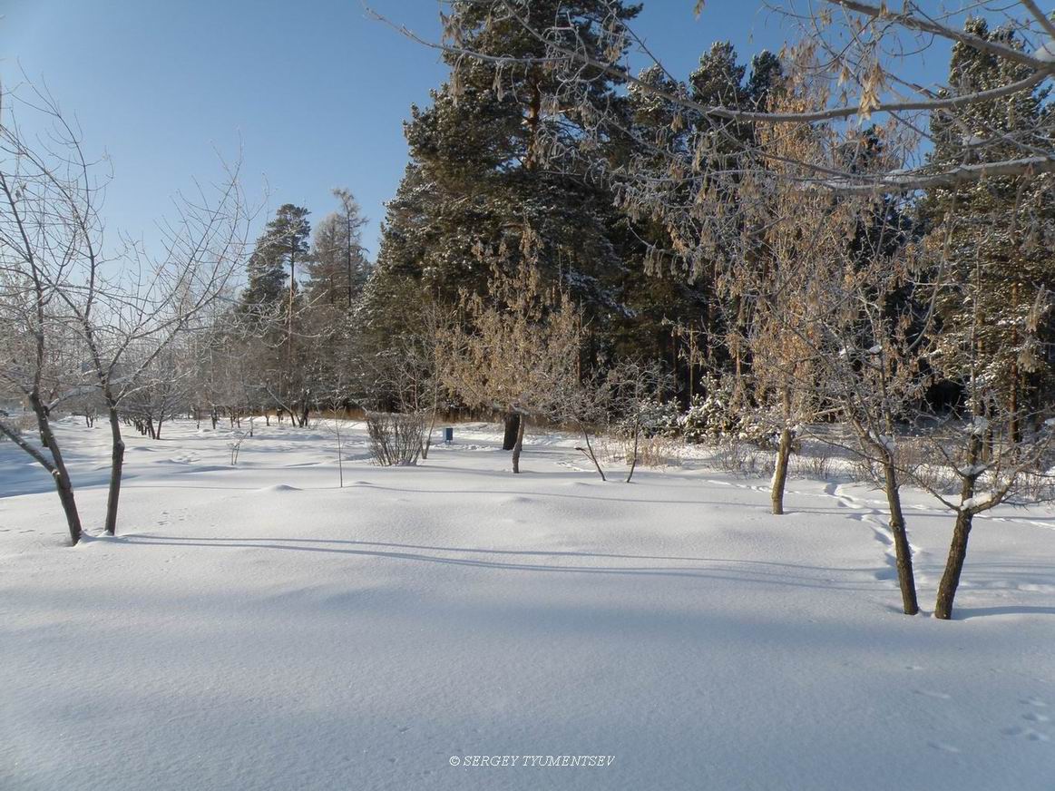 �� ������ �������