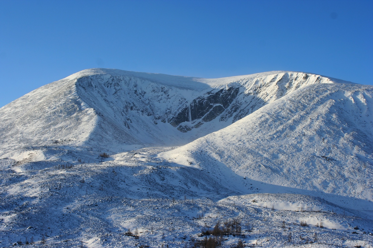 ������ ������