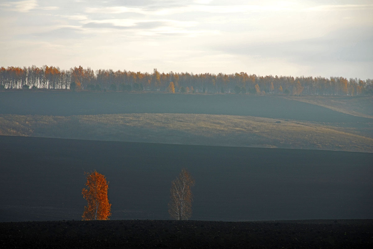 ��� �����