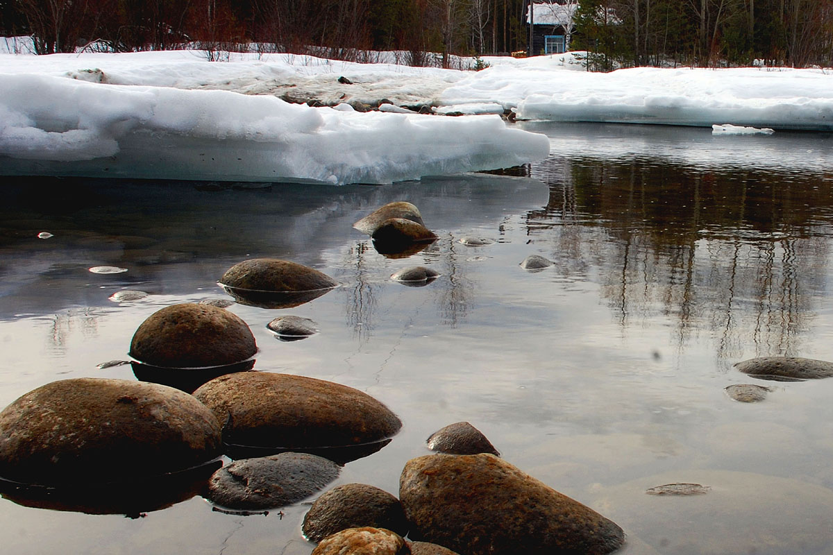 ������ � ����